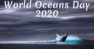 World oceans day was first introduced in 1992 to raise awareness of the crucial role the sea plays as sources of food, oxygen and medicine. World Oceans Day 2020 Dates Theme History Significance And How To Celebrate It Apsters Media