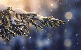 Tumblr wallpaper iphone wallpaper winter ipad pro wallpaper ipad mini wallpaper aesthetic painting winter wallpaper painting wallpaper abstract minimalist wallpaper. 4k Winter Wallpapers For Iphone Ipad Or Macbook