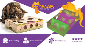 4.0 out of 5 stars 52 reviews. Amazon Com Cat Amazing Best Cat Toy Ever Interactive Treat Maze Puzzle Feeder For Cats Pet Mice And Animal Toys Pet Supplies