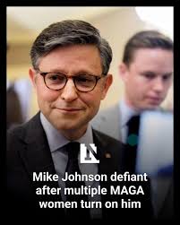 House Speaker Mike Johnson has said that he would "absolutely" run again to  lead the House next Congress.