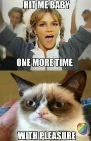 40 Best Grumpy Cat Memes To Cherish Tardar Sauce