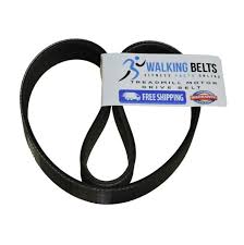 Check out our proform 590t treadmill video review! 296754 Proform Xp 550s Treadmill Motor Drive Belt Free 1oz Lube Ebay