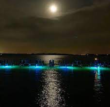 24 000 Lumen Led Dock Lights Easy Plug In And Toss In Veteran Owne Dock Lighting Underwater Lights Underwater Led Lights
