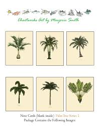 Palm Tree Cards Series 1a Florida Palm Tree Note Cards