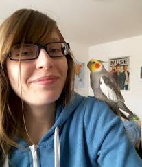 What is a mealworm's cold tolerance?