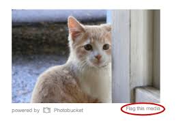 Twitter Adds "Possibly Sensitive" Designation To Tweets With NSFW Content