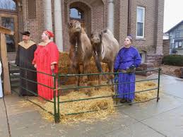 Explore the best of soulard! South Dakota Camel Farm Nativity Denny Post