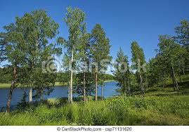 ✓ free for commercial use ✓ high quality images. Gorgeous Nature Landscape View Of Lake With Green Tall Trees On Blue Sky Background Sweden Europe Beautiful Backgrounds Canstock