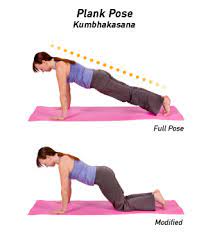 Learn about the 7 essential yoga for complete beginners. How To Do Plank Pose In Yoga Yogaoutlet Com