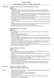 Professionally managed portfolios designed to help investors stay on track to reach their financial goals. Senior Portfolio Manager Resume Samples Velvet Jobs
