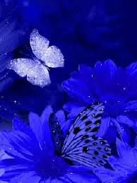 Beautiful flowers over lake lucerne and mountains background in switzerland. Animated Beautiful Flower Images Wallpapers