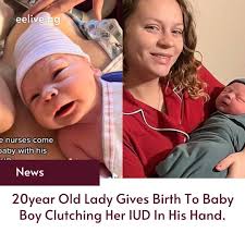 Everything Entertainment Live!