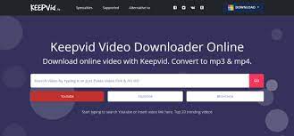 Download ThisVid Videos in Seconds with the Best ThisVid Downloaders