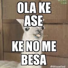 Pin En Ola K Ase