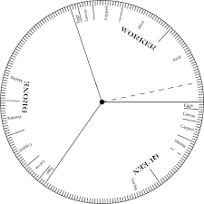 Printable Honey Bee Life Cycle Wheel Bee Keeping Bee