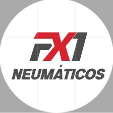 Fx1 Neumaticos