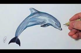 dessiner un dauphin tutoriel facile dessin crocodile art de soutien faq dons sponsorisez-vous des particuliers ou entreprises coloriages
