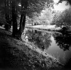 Tree Reflections Holga Infrared Pinhole Photography Holga Camera Photography
