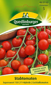 Super sweet 100 cherry tomatoes. Tomate Supersweet 100 F1 Hybride Tomatensamen Von Quedlinburger Samenhaus Samen Samereien