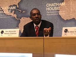 CHAMISA : A PROFESSOR'S VERDICT | Mafaro