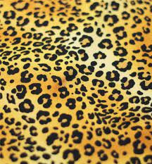  cheetah animal print pattern fabric. Cheetah Stretch Fabric Golden Cat Black And Pink Dance Supplies Tulsa