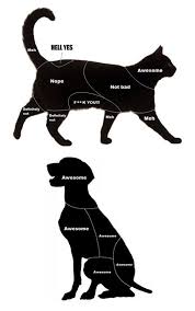 Petting Guide For Cats Cat Vs Dog Dog Cat Pets