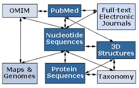 Bioinformatics