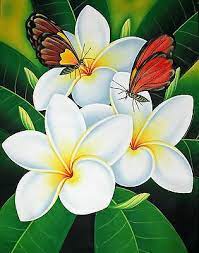 Oil Painting On Canvas Frangipani And Butterflies 80cm X 60cm Unframed Ebay Flower Art Painting Flower Art Flower Painting
