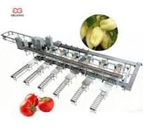 Verified Supplier Pepper Color Sorter Machine Led Light ...