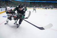 Wild Stars Hockey