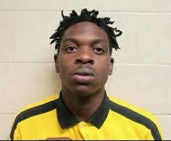 Press Release (Murder) On March 27, 2017 (11:48 pm) the Hoke County  Sheriff's Office patrol responded to a Homicide at the 100 Block of Piney  Bay Lane. Once