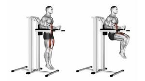 Les répulsions aux barres parallèles ( aussi appelées « dips ») est un autre incontournable des exercices de musculation au poids de corps à faire à la maison. La Chaise Romaine Utilisation Avantages Et Meilleurs Exercices