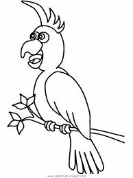 Maybe you would like to learn more about one of these? Papageien 01 Gratis Malvorlage In Papageien Tiere Ausmalen