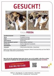 Suchplakat erstellen katze / plakat : Verein Vermisste Katzen Posts Facebook