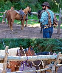 1966) is a summer camp and outdoor education centre located on a diverse 220 acres of carolinian forest, fields, ponds, and is bordered by the dingman creek watershed. Giddyup Circle K Guest Ranch Colorado Marla Meridith