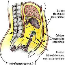 Maybe you would like to learn more about one of these? Un Tour De Taille Reduit Previent De Graves Maladies