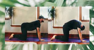 To stretch and extend the lower back and mid back muscles. 5 Best Back Pain Stretches For Immediate Back Pain Relief
