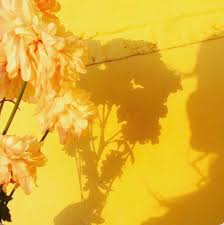 See more ideas about yellow aesthetic, yellow, yellow color. Shadow Yellow And Bright Yellow Image 7008412 On Favim Com