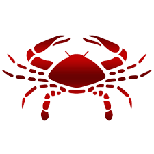 Get an answer from vedic astrology for cancer sign. Free Daily Cancer Horoscope Cancer Horoscope Today Future Point
