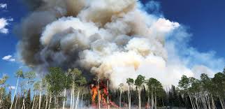 Helicopters will help ignite the 7,000 acres. Wildfires Launch Microbes Into The Air Which May Pose Health Risks Science News
