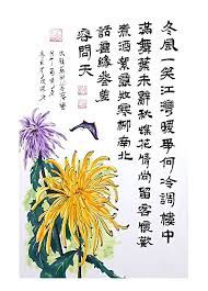 次韻蘇軾 菩薩蠻 六 shower curtain prints printed shower curtain