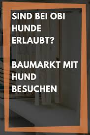 Sind Bei Obi Hunde Erlaubt Baumarkt Mit Hund Besuchen Hunde Bestes Hundefutter Obi