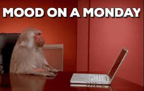 Gif Funny Hr Recruitertimes Hiringplug Work Monkeys Funny Baboon Funny Gif