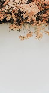 Aesthetic vintage tumblr background 160438 hd wallpaper. Aesthetic View Vintage Aesthetic Wallpaper Yellow Novocom Top