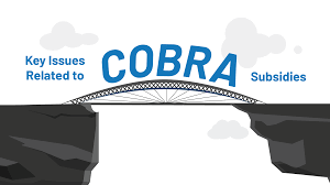Congress passed the consolidated omnibus reconciliation act two decades ago to give. Key Issues Related To Cobra Subsidies Kff