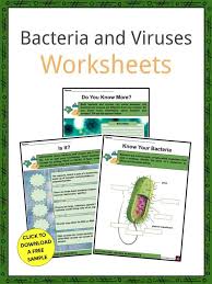 Bacteria And Viruses Facts Worksheets In 2020 Worksheets Human Body Worksheets Worksheet Template