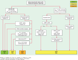 Aortic Valve Disease Harrisons Principles Of Internal