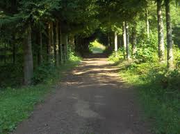 File:Long way to the light...- La lumière au bout du tunnel... -  panoramio.jpg - Wikimedia Commons