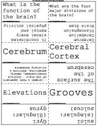 These Science Flash Cards Talk About The Sections That Make Up The Structure Of The Brain Free To Download And Print Flashcards Cards Brain