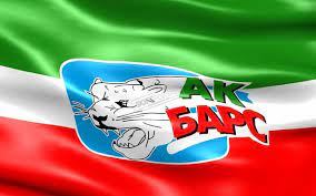 Продавец на kazanexpress с 1 июня 2020 г. Foto Ak Bars Oboi Dlya Rabochego Stola Foto Mail Ru
